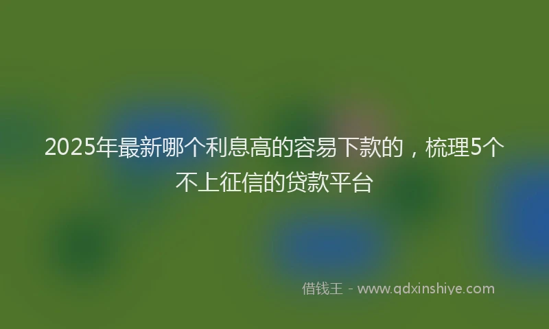 2025年最新哪个利息高的容易下款的，梳理5个不上征信的贷款平台