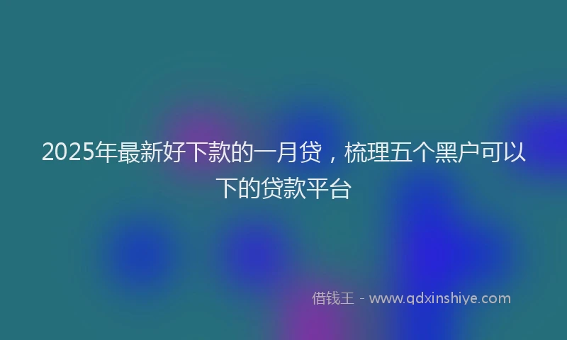 2025年最新好下款的一月贷，梳理五个黑户可以下的贷款平台