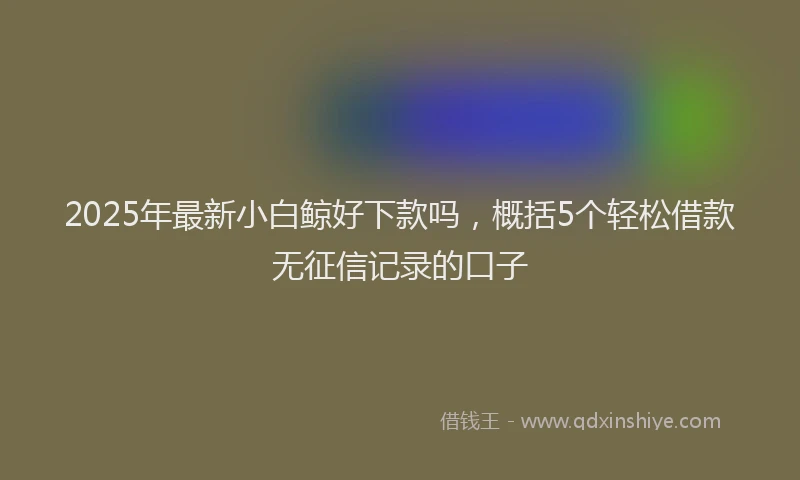 2025年最新小白鲸好下款吗，概括5个轻松借款无征信记录的口子
