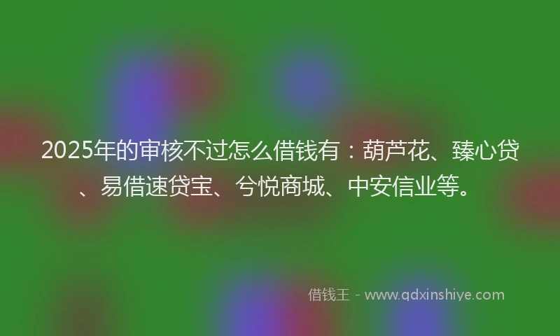 2025年的审核不过怎么借钱有：葫芦花、臻心贷、易借速贷宝、兮悦商城、中安信业等。