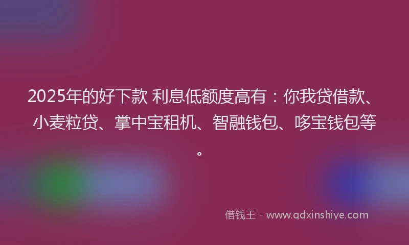 2025年的好下款 利息低额度高有：你我贷借款、小麦粒贷、掌中宝租机、智融钱包、哆宝钱包等。