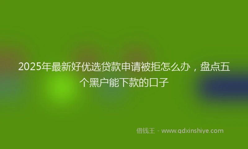 2025年最新好优选贷款申请被拒怎么办，盘点五个黑户能下款的口子