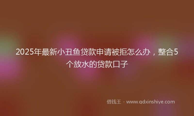 2025年最新小丑鱼贷款申请被拒怎么办，整合5个放水的贷款口子