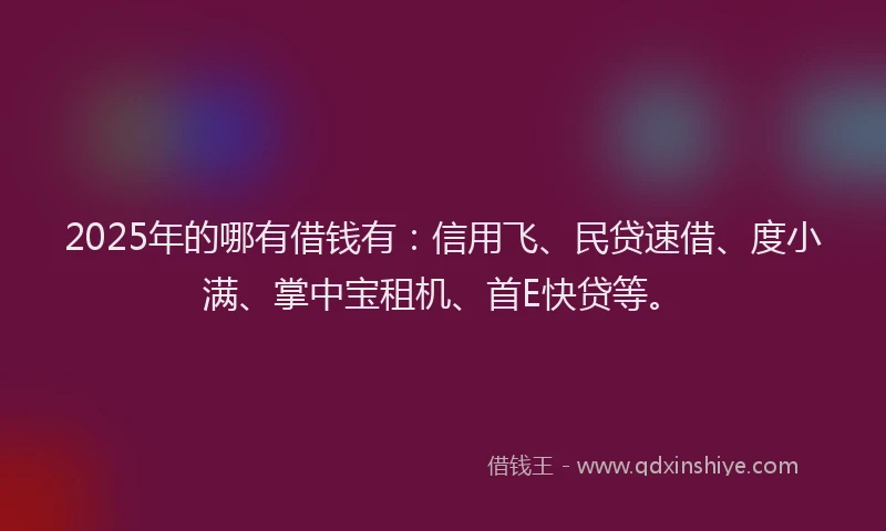 2025年的哪有借钱有：信用飞、民贷速借、度小满、掌中宝租机、首E快贷等。