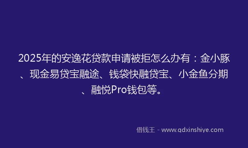 2025年的安逸花贷款申请被拒怎么办有：金小豚、现金易贷宝融途、钱袋快融贷宝、小金鱼分期、融悦Pro钱包等。