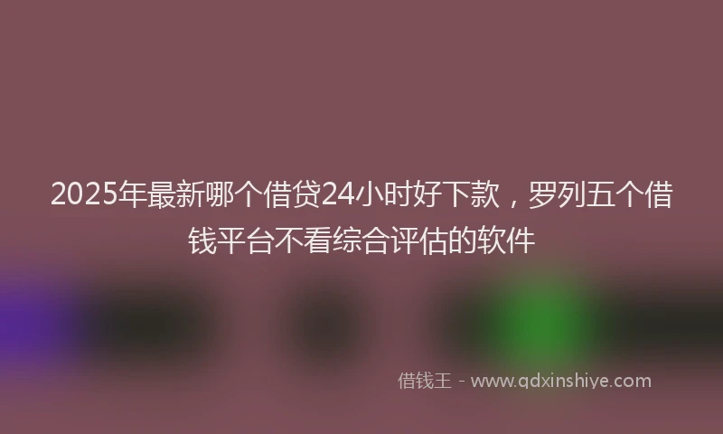 2025年最新哪个借贷24小时好下款，罗列五个借钱平台不看综合评估的软件