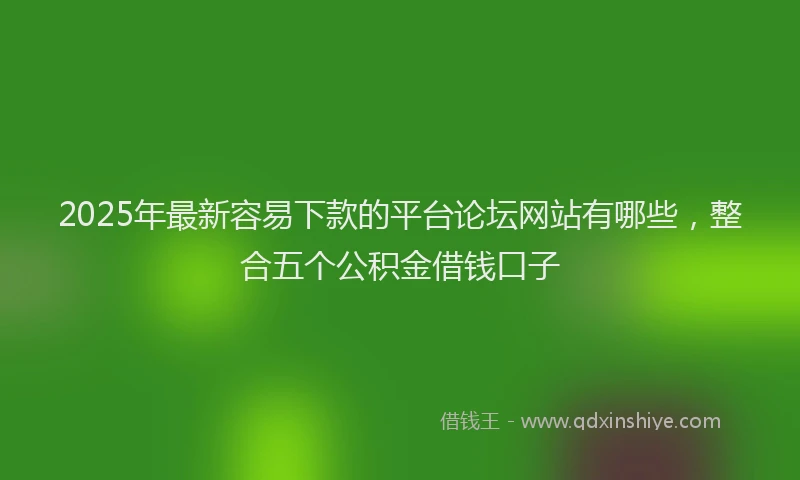 2025年最新容易下款的平台论坛网站有哪些，整合五个公积金借钱口子