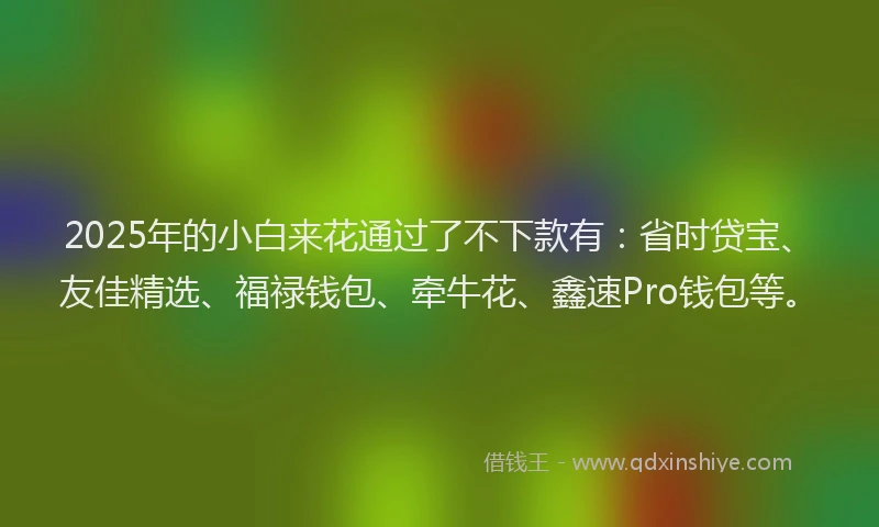 2025年的小白来花通过了不下款有：省时贷宝、友佳精选、福禄钱包、牵牛花、鑫速Pro钱包等。