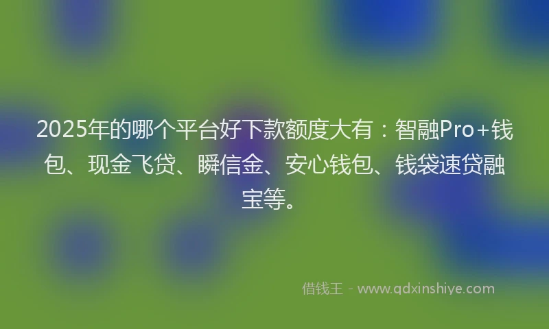 2025年的哪个平台好下款额度大有：智融Pro+钱包、现金飞贷、瞬信金、安心钱包、钱袋速贷融宝等。