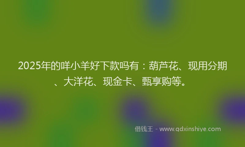 2025年的咩小羊好下款吗有：葫芦花、现用分期、大洋花、现金卡、甄享购等。
