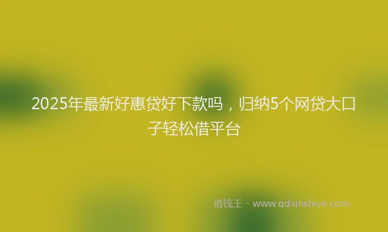 2025年最新好惠贷好下款吗，归纳5个网贷大口子轻松借平台