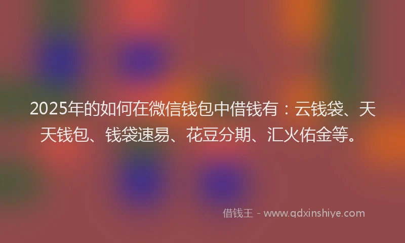 2025年的如何在微信钱包中借钱有：云钱袋、天天钱包、钱袋速易、花豆分期、汇火佑金等。