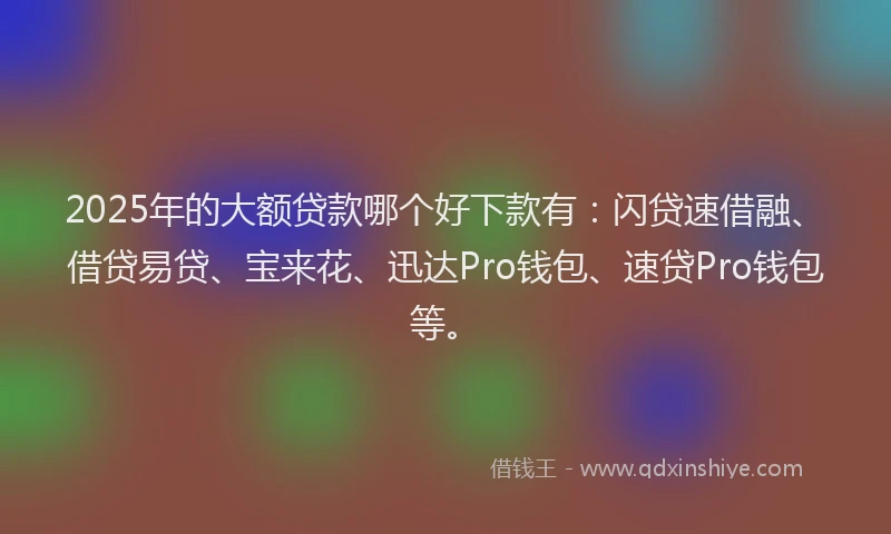 2025年的大额贷款哪个好下款有：闪贷速借融、借贷易贷、宝来花、迅达Pro钱包、速贷Pro钱包等。