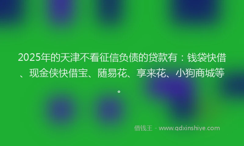 2025年的天津不看征信负债的贷款有：钱袋快借、现金侠快借宝、随易花、享来花、小狗商城等。