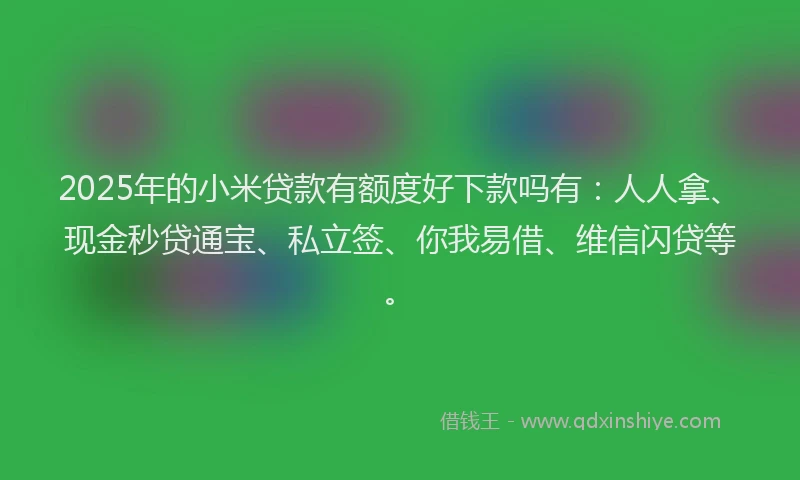 2025年的小米贷款有额度好下款吗有：人人拿、现金秒贷通宝、私立签、你我易借、维信闪贷等。