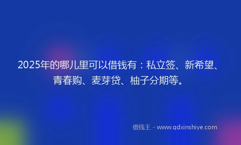 2025年的哪儿里可以借钱有：私立签、新希望、青春购、麦芽贷、柚子分期等。