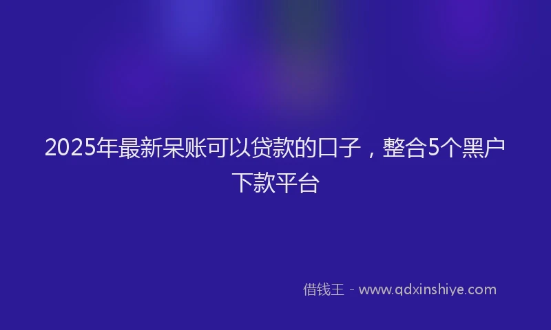 2025年最新呆账可以贷款的口子，整合5个黑户下款平台