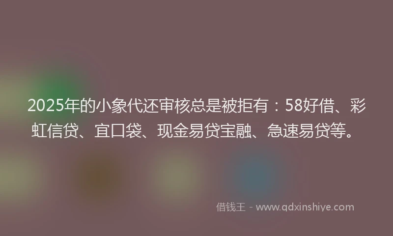 2025年的小象代还审核总是被拒有：58好借、彩虹信贷、宜口袋、现金易贷宝融、急速易贷等。