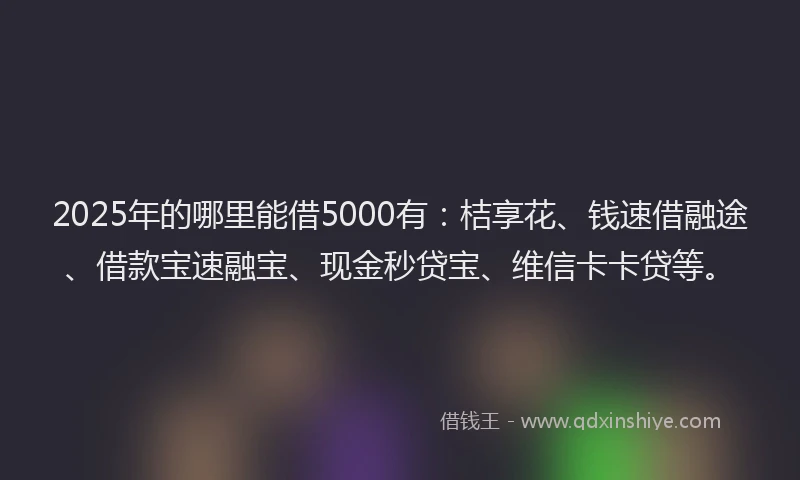 2025年的哪里能借5000有：桔享花、钱速借融途、借款宝速融宝、现金秒贷宝、维信卡卡贷等。