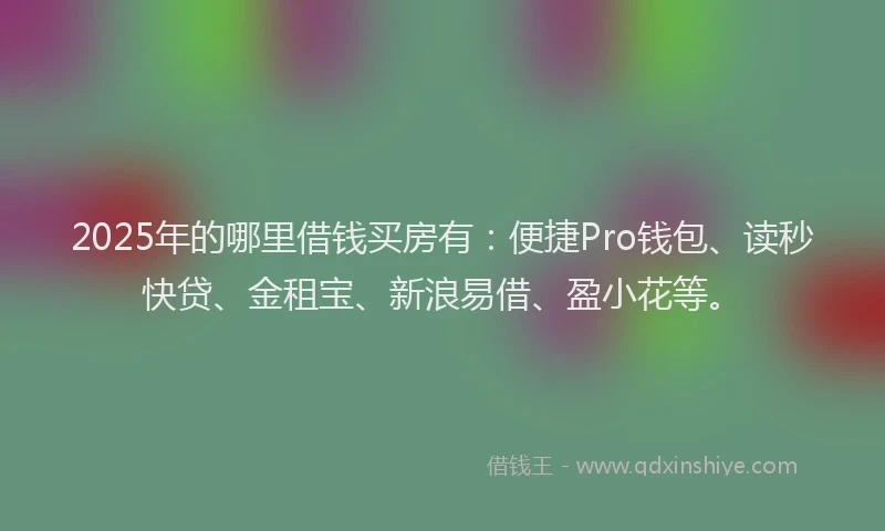2025年的哪里借钱买房有：便捷Pro钱包、读秒快贷、金租宝、新浪易借、盈小花等。