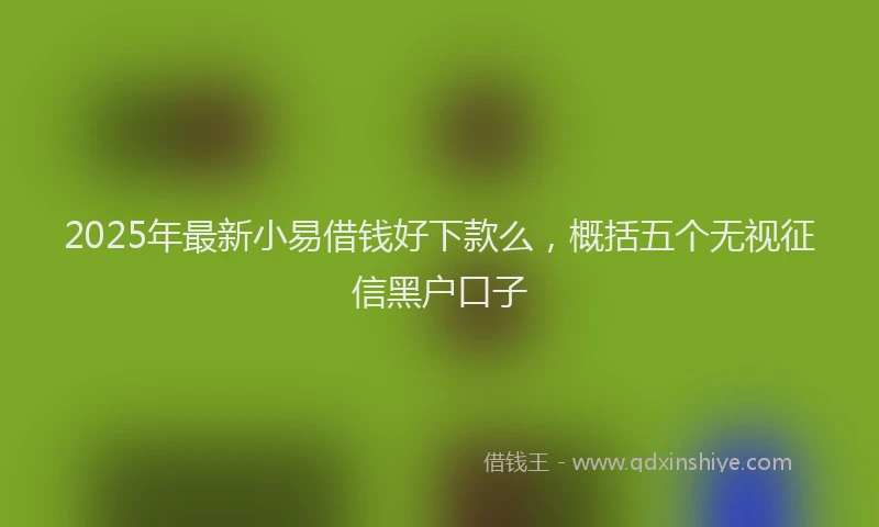 2025年最新小易借钱好下款么，概括五个无视征信黑户口子