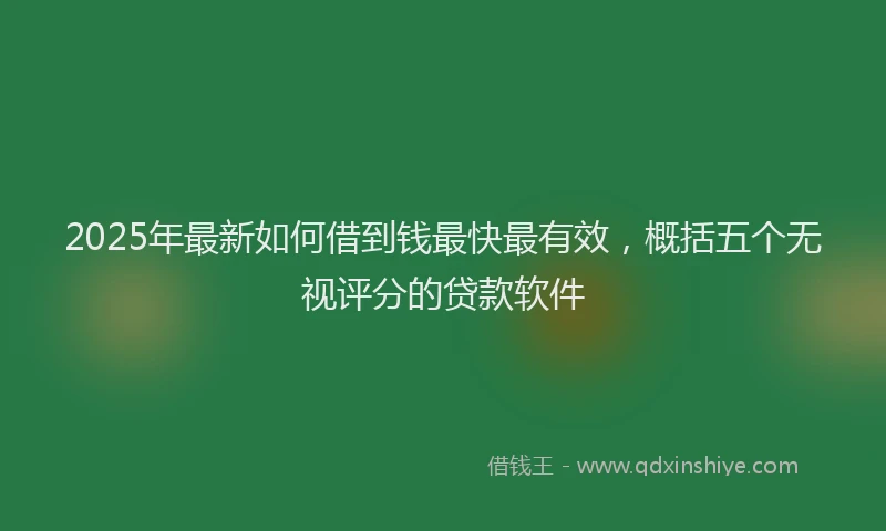 2025年最新如何借到钱最快最有效，概括五个无视评分的贷款软件