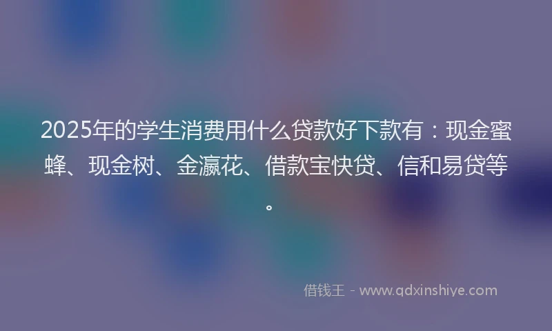 2025年的学生消费用什么贷款好下款有：现金蜜蜂、现金树、金瀛花、借款宝快贷、信和易贷等。