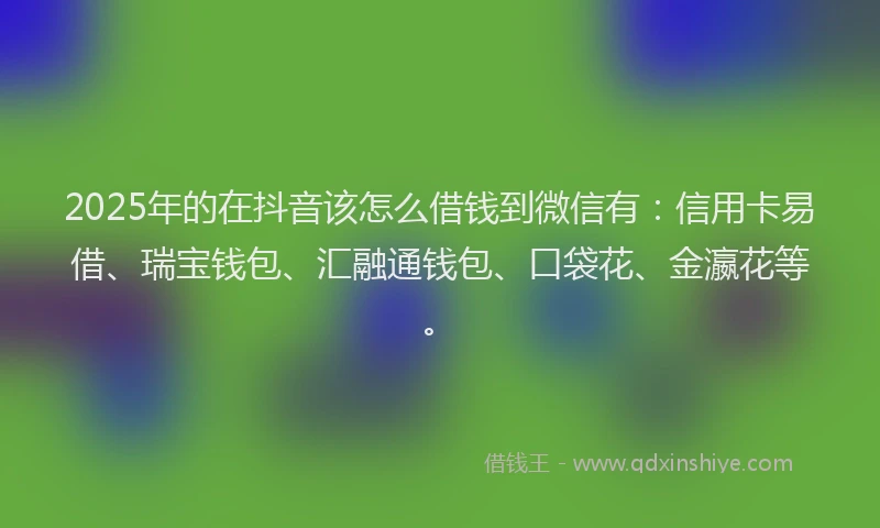 2025年的在抖音该怎么借钱到微信有：信用卡易借、瑞宝钱包、汇融通钱包、口袋花、金瀛花等。