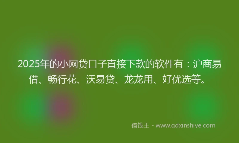 2025年的小网贷口子直接下款的软件有：沪商易借、畅行花、沃易贷、龙龙用、好优选等。