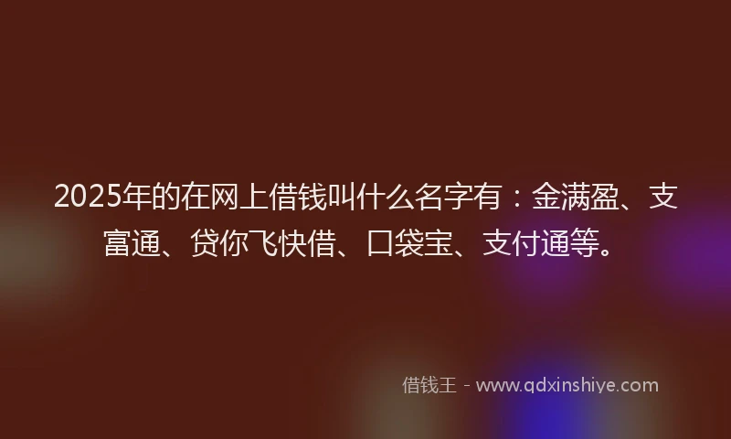 2025年的在网上借钱叫什么名字有：金满盈、支富通、贷你飞快借、口袋宝、支付通等。