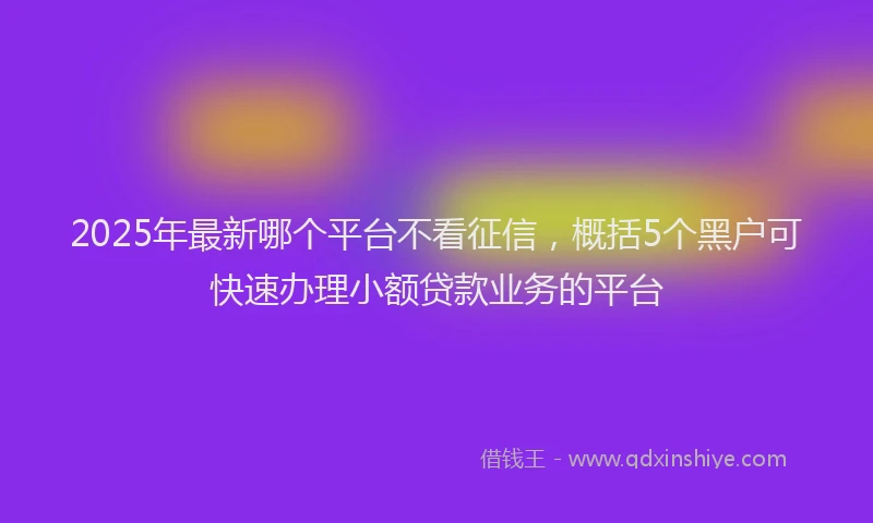 2025年最新哪个平台不看征信，概括5个黑户可快速办理小额贷款业务的平台