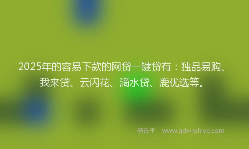 2025年的容易下款的网贷一键贷有：独品易购、我来贷、云闪花、滴水贷、鹿优选等。