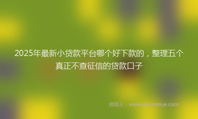 2025年最新小贷款平台哪个好下款的，整理五个真正不查征信的贷款口子