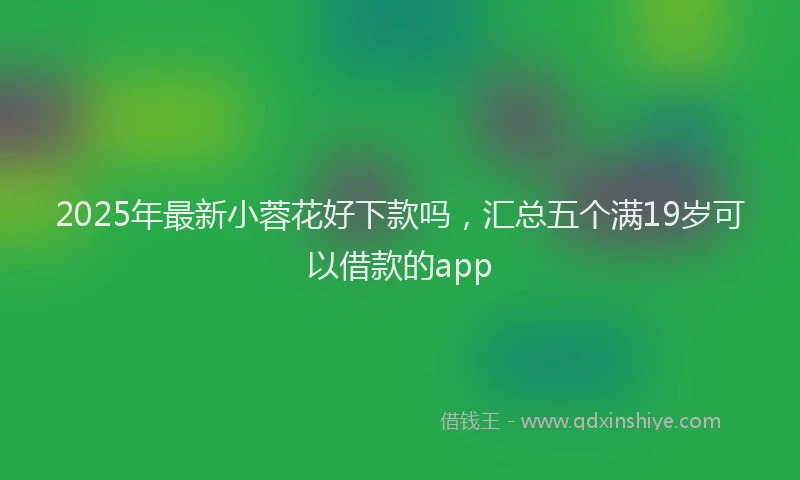 2025年最新小蓉花好下款吗，汇总五个满19岁可以借款的app