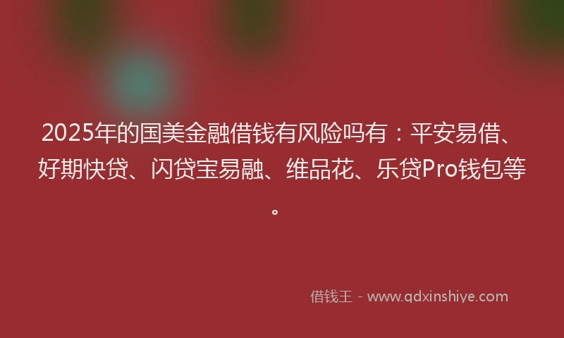 2025年的国美金融借钱有风险吗有：平安易借、好期快贷、闪贷宝易融、维品花、乐贷Pro钱包等。