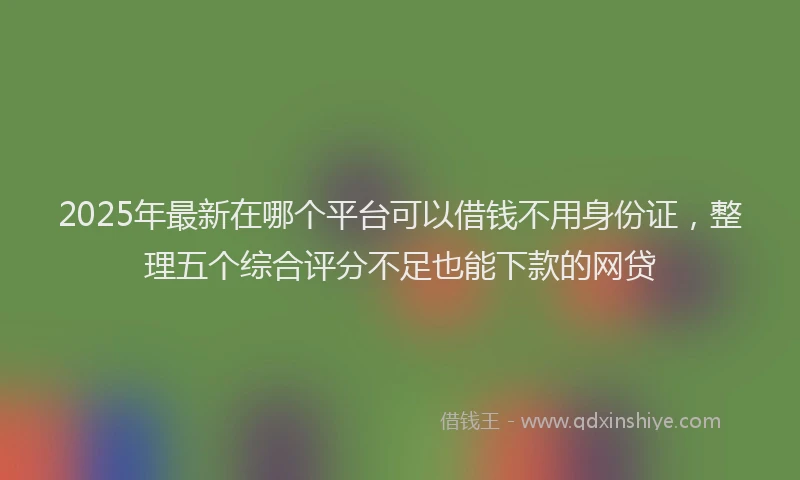 2025年最新在哪个平台可以借钱不用身份证，整理五个综合评分不足也能下款的网贷