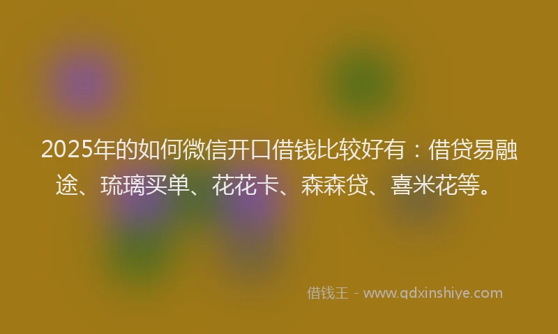 2025年的如何微信开口借钱比较好有：借贷易融途、琉璃买单、花花卡、森森贷、喜米花等。
