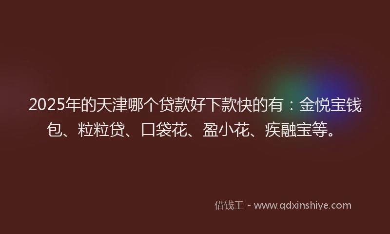 2025年的天津哪个贷款好下款快的有：金悦宝钱包、粒粒贷、口袋花、盈小花、疾融宝等。