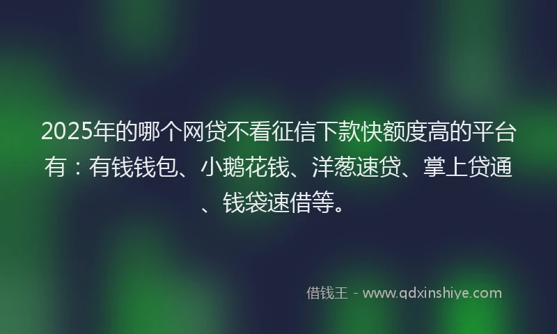 2025年的哪个网贷不看征信下款快额度高的平台有：有钱钱包、小鹅花钱、洋葱速贷、掌上贷通、钱袋速借等。