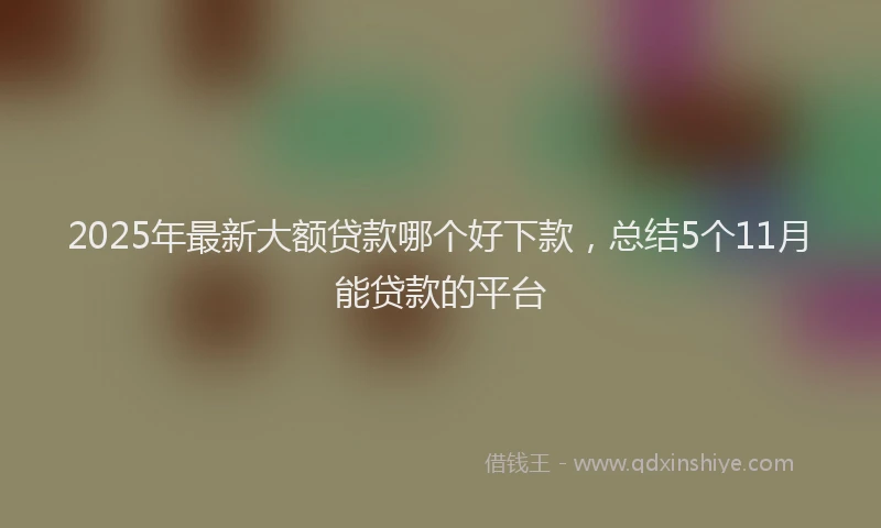 2025年最新大额贷款哪个好下款，总结5个11月能贷款的平台