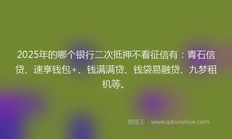 2025年的哪个银行二次抵押不看征信有：青石信贷、速享钱包+、钱满满贷、钱袋易融贷、九梦租机等。