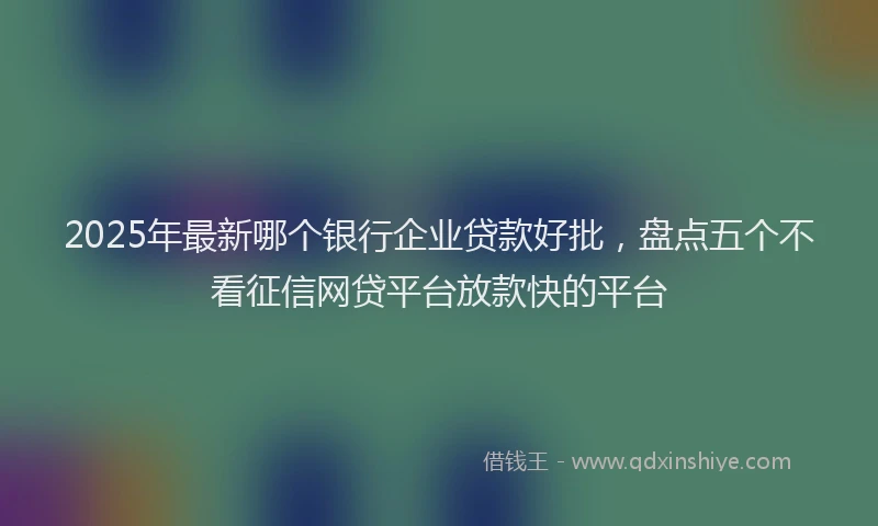 2025年最新哪个银行企业贷款好批，盘点五个不看征信网贷平台放款快的平台