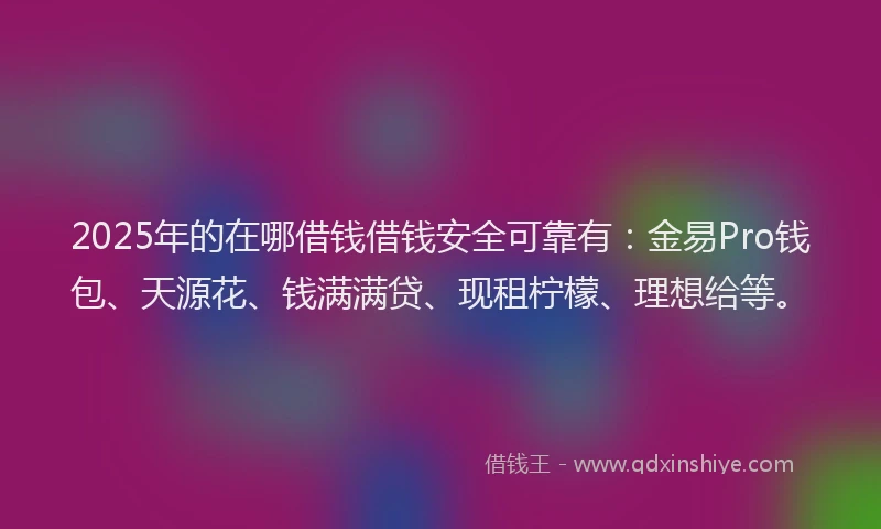 2025年的在哪借钱借钱安全可靠有：金易Pro钱包、天源花、钱满满贷、现租柠檬、理想给等。
