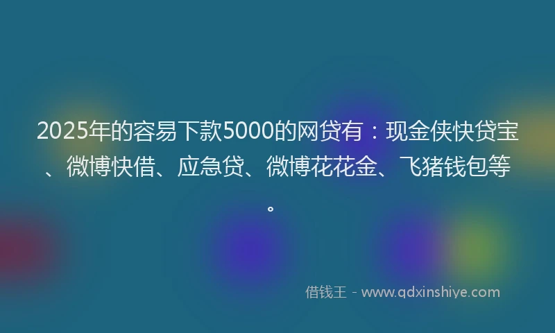 2025年的容易下款5000的网贷有：现金侠快贷宝、微博快借、应急贷、微博花花金、飞猪钱包等。