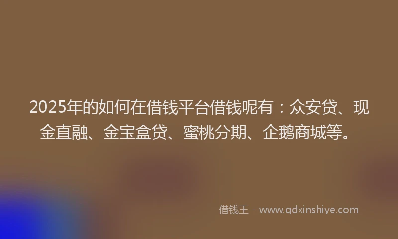 2025年的如何在借钱平台借钱呢有：众安贷、现金直融、金宝盒贷、蜜桃分期、企鹅商城等。