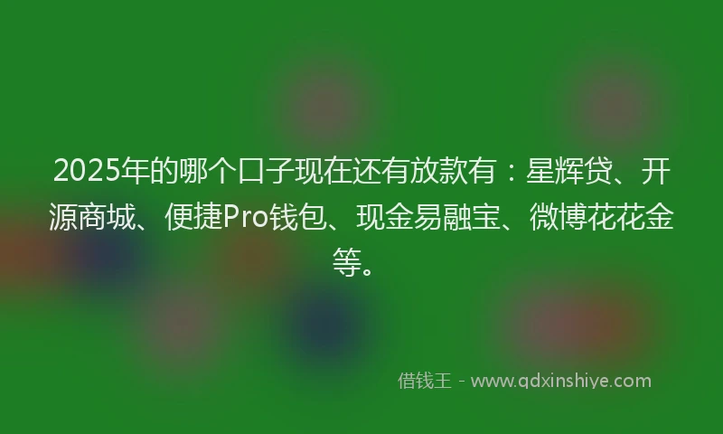 2025年的哪个口子现在还有放款有：星辉贷、开源商城、便捷Pro钱包、现金易融宝、微博花花金等。