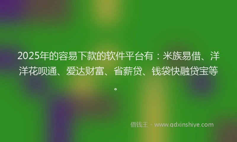 2025年的容易下款的软件平台有：米族易借、洋洋花呗通、爱达财富、省薪贷、钱袋快融贷宝等。