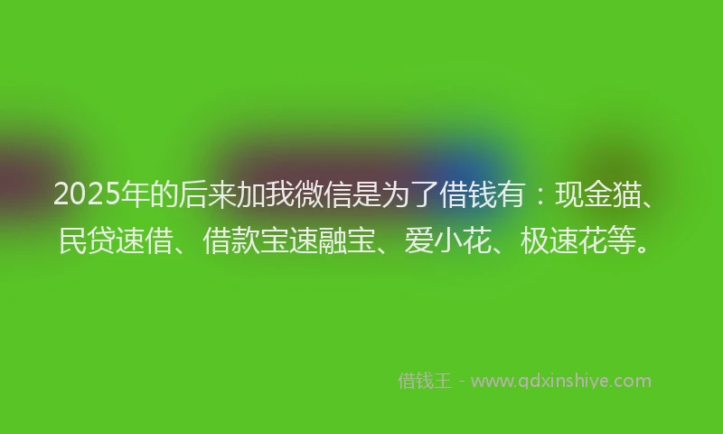 2025年的后来加我微信是为了借钱有：现金猫、民贷速借、借款宝速融宝、爱小花、极速花等。