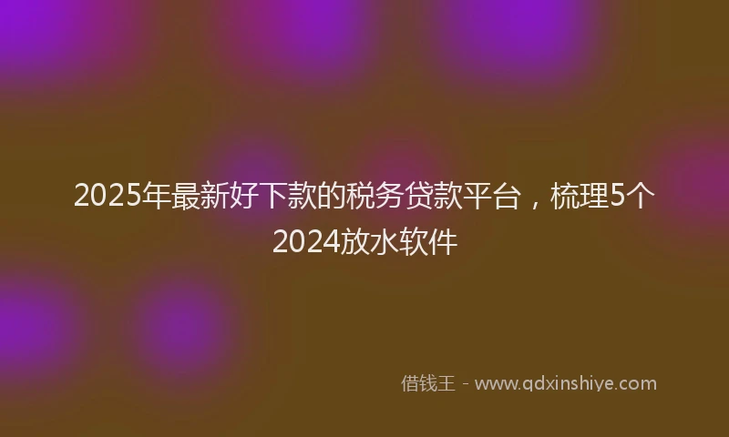 2025年最新好下款的税务贷款平台，梳理5个2024放水软件