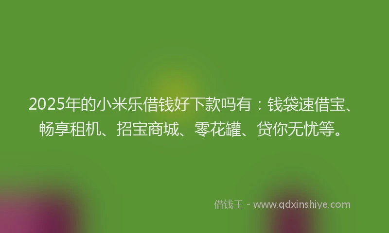 2025年的小米乐借钱好下款吗有：钱袋速借宝、畅享租机、招宝商城、零花罐、贷你无忧等。